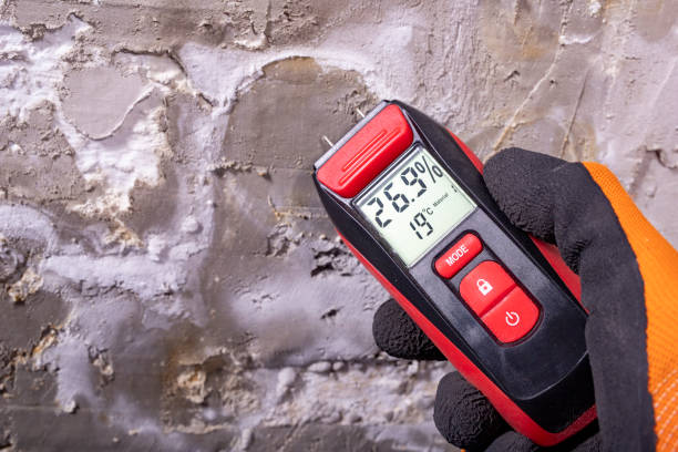 Best Fast Mold Removal  in North Royalton, OH